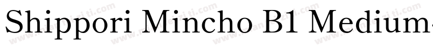 Shippori Mincho B1 Medium字体转换